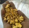Gold Bars