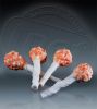 dried chicken bolus wi...
