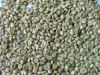  Export Coffee Beans | Coffee Bean Importer | Coffee Beans Buyer | Buy Coffee Beans | Coffee Bean Wholesaler | Coffee Bean Manufacturer | Best Coffee Bean Exporter | Low Price Coffee Beans | Best Quality Coffee Bean | Coffee Bean Supplier | Sell Coffee Be