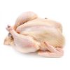 Best Quality Healthy and Natural Whole Chicken Halal Frozen Whole Chicken From Turkey Poultry Meat Chicken