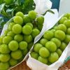 Best Quality New Fresh Green Grapes Crimson Seedless Fresh Fruit Grape for Export.