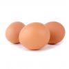 Cheap Farm Fresh White Shell Chicken Eggs Table Eggs Organic Fresh Chicken Fertilized Hatching Eggs