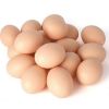 Buy Farm Fresh Fertile Brown Fresh Chicken Table Eggs/ Ostrich Eggs/Chicks/ for Sale