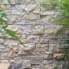 Câhampagne Limestone Tiles â Durable Outdoor Decor Solutions