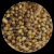 Coriander Seeds Wholesale high quality pure seeds split