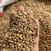 Coriander Seeds Wholesale high quality pure seeds split