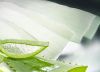 Aloe Vera Gel (Fresh)