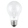 Incandescent bulb