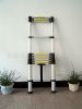 aluminum ladder