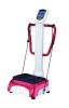 Vibration Fitness Equi...