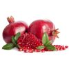 exporters of fresh pomegranates