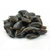 black mussel for sale