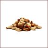 brazil nut tree for sale