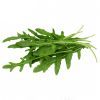 arugula leaf suppliers houston