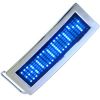 LED scrolling text buc...