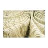 Affordable sisal fiber for large-scale production needs