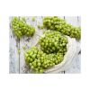 Farm-fresh grapes available at competitive rates