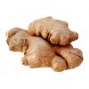 Farm-fresh ginger for wholesale buyers at competitive rates