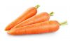 Carrots rich in vitamins and nutrients for a healthy diet