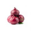 Bulk red onions for wholesale distribution and trade