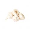 Premium garlic bulbs i...