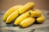 Bulk fresh bananas for food processing industries