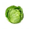 Fresh Cabbage available for bulk supply