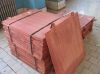 Best Copper Cathode deals for manufacturers and suppliers