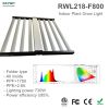 RWL218-F800L