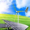 600W Wind Turbine Wate...