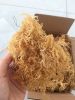 Eucheuma Spinosum