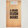Flush doors
