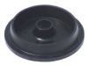 insulator
