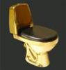 silver gold toilet