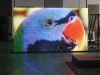 P6 indoor full color d...