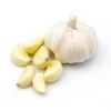 Fresh Garlic With Natu...