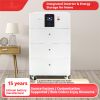 220V Lithium Iron Phosphate Portable Power Bank: A New Era of Large Capacity, Outdoor Battery, Street Vendor, Home Energy Storage, Portable