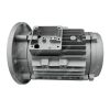 Aluminum Casting Motor...