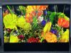 55" 1.8mm B2B...