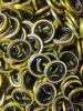 oil seals and hydrauic...