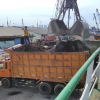 Palm Kernel Shell, GGL...