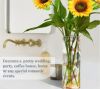 Aesthetic Translucent flower Acrylic vase