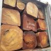 Beech Wood Logs / Sawn Spruce Wood Logs Pine Wood Lumber