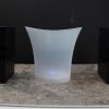 5L Frosted LED Ice Bucket