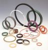 O-ring seals oil seals...