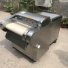 Vegetable Conveyor Cut...