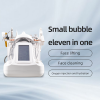 11 in 1 Small Bubble Vertical Hydro Dermabrasion Oxygen Facial Rejuvenation Machines