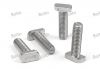Stainless steel T-bolt