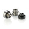 Insert Bearing with ex...