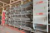 battery cage system fo...